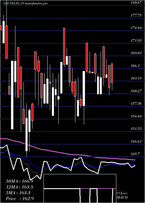Daily chart FelixIndustries