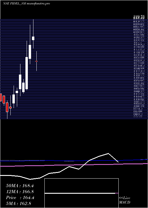 monthly chart FidelSoftech