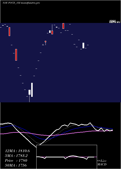 Daily chart FoceIndia