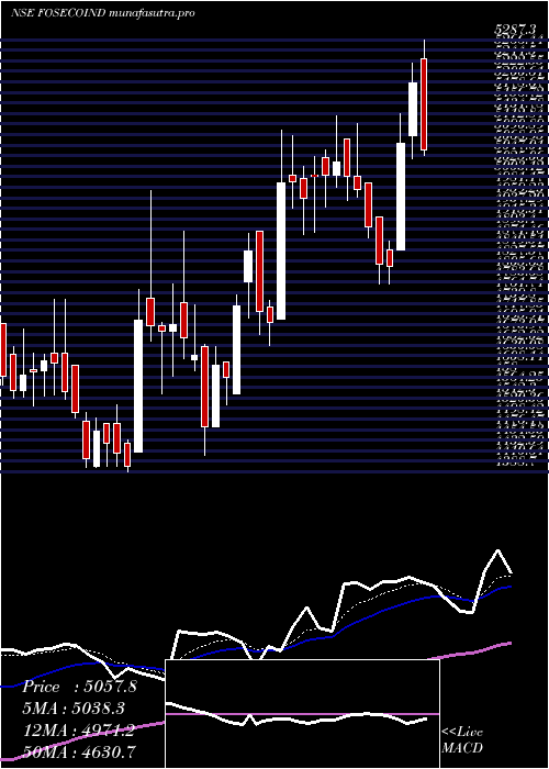 Daily chart FosecoIndia