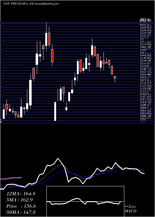 Daily chart FresharaAgro