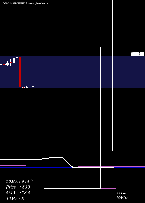 monthly chart GarwareTech