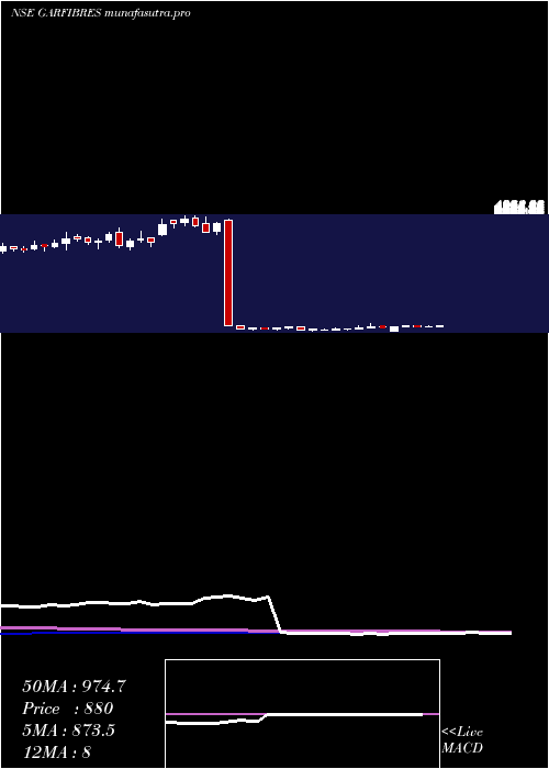 weekly chart GarwareTech