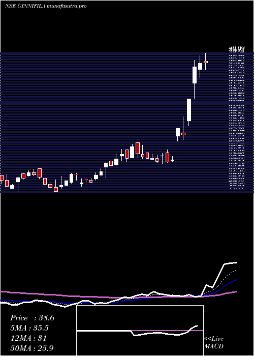 Daily chart GinniFilaments