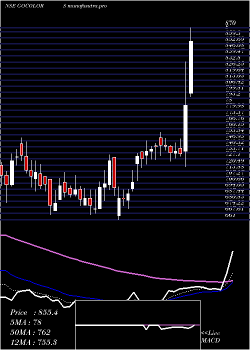 Daily chart GoFashion