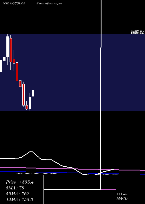 monthly chart GoFashion