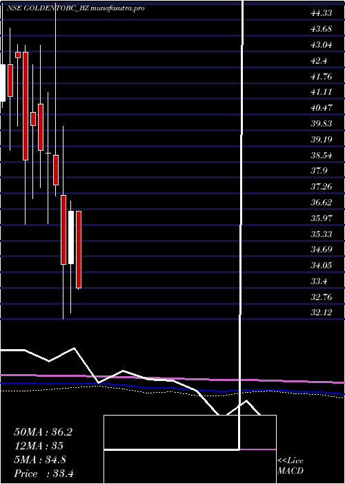 monthly chart GoldenTobacco