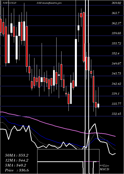  Daily chart GoldiamInternational