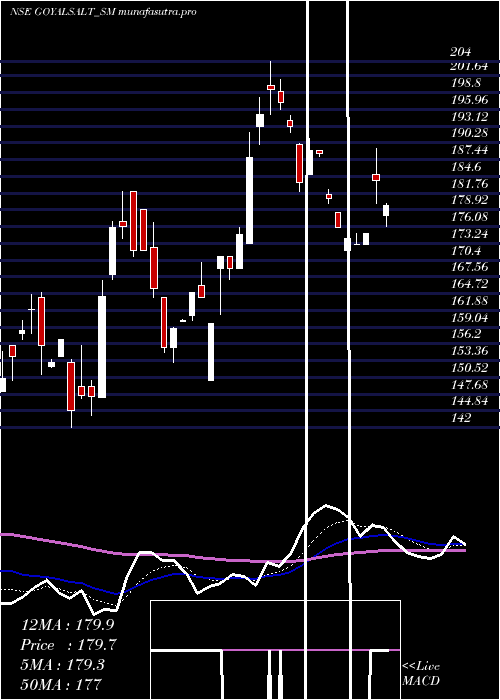 Daily chart GoyalSalt