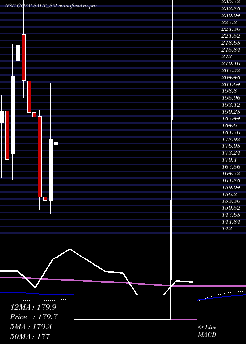 monthly chart GoyalSalt