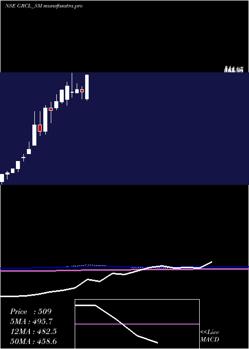 monthly chart GayatriRubb