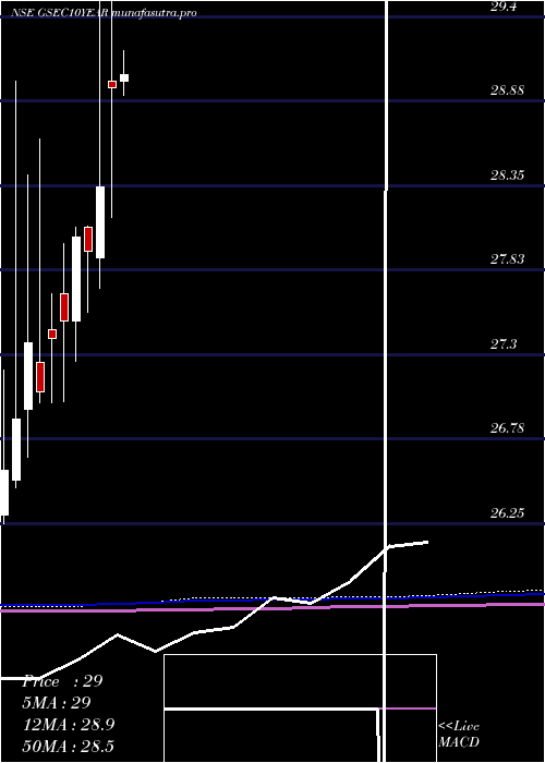monthly chart MiraeamcMags813etf