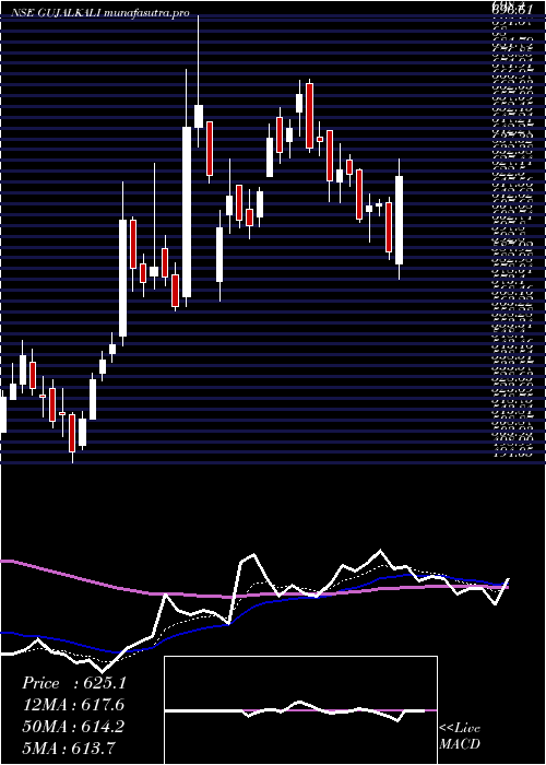 Daily chart GujaratAlkalies