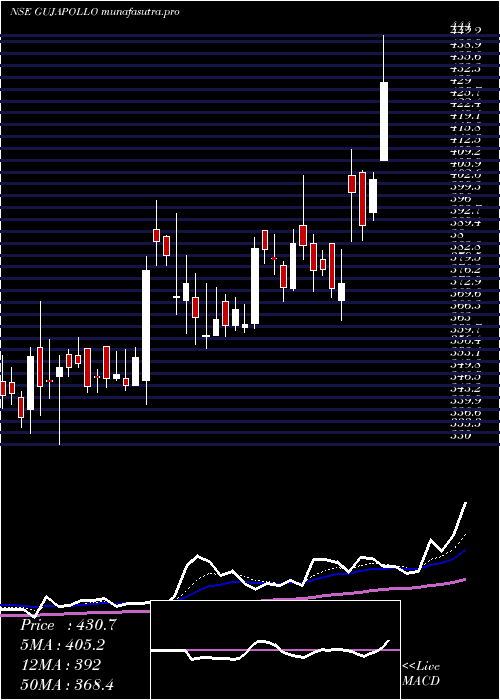 Daily chart GujaratApollo