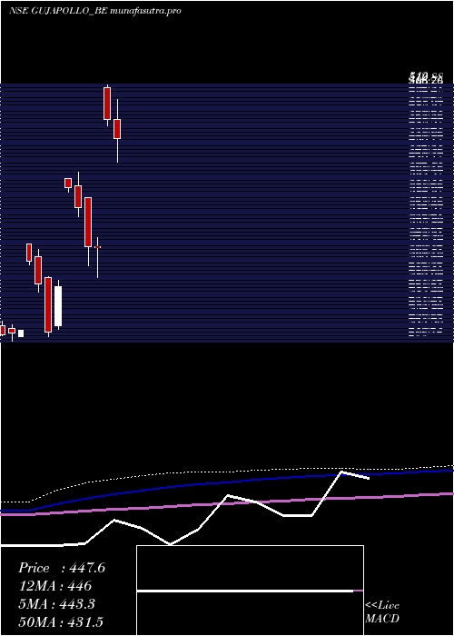 monthly chart GujApollo