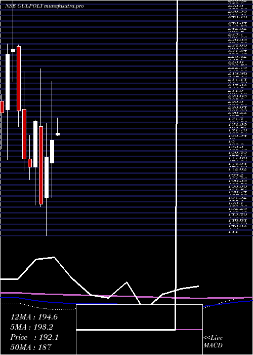 monthly chart GulshanPolyols