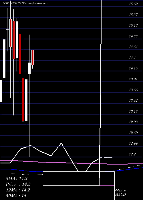 monthly chart BirlaslamcHealthy