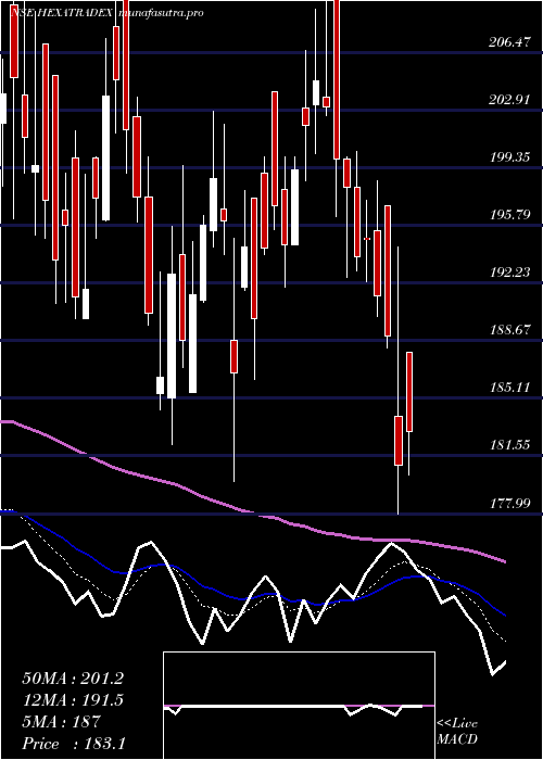 Daily chart HexaTradex
