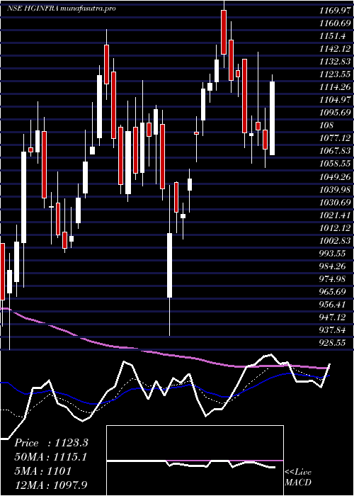 Daily chart HG