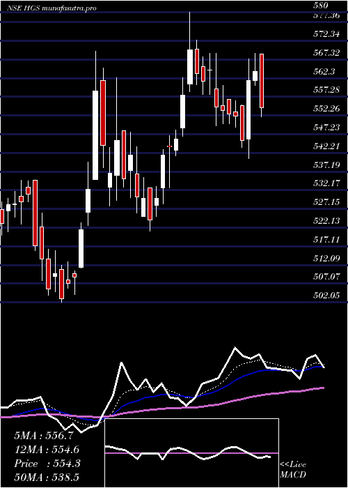 Daily chart HindujaGlobal