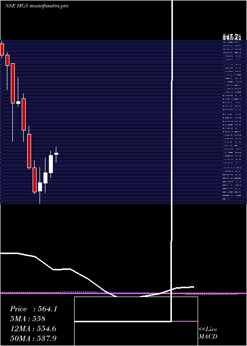 monthly chart HindujaGlobal