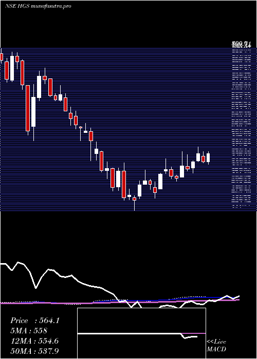 weekly chart HindujaGlobal