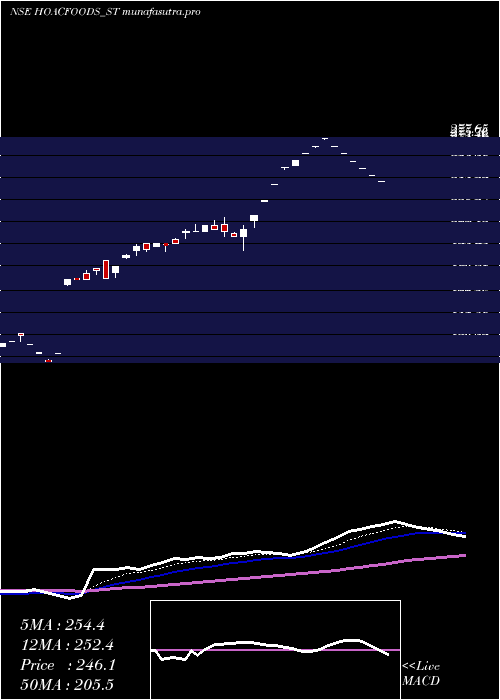  Daily chart HoacFoods