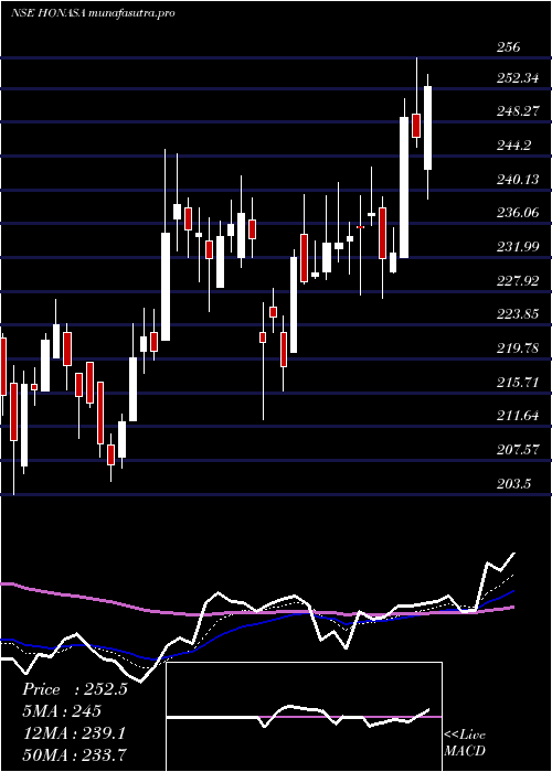 Daily chart HonasaConsumer