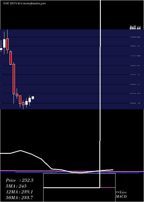 monthly chart HonasaConsumer