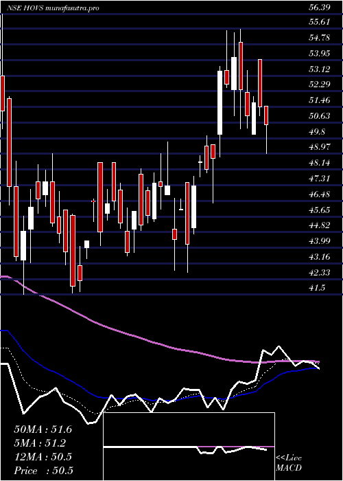  Daily chart HovServices