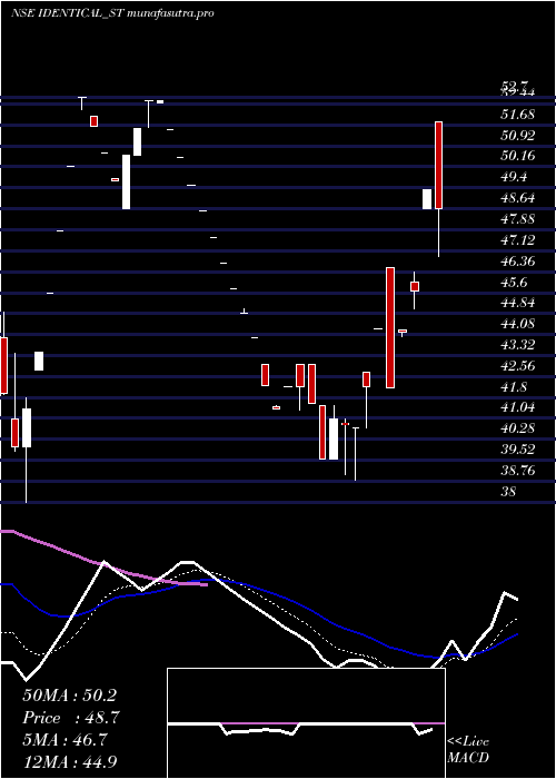 Daily chart IdenticalBrains