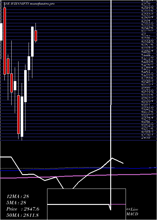 monthly chart InvescoInd