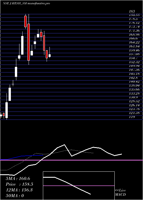 Daily chart JayeshLogistics