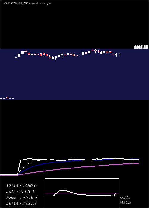 Daily chart KingfaSci