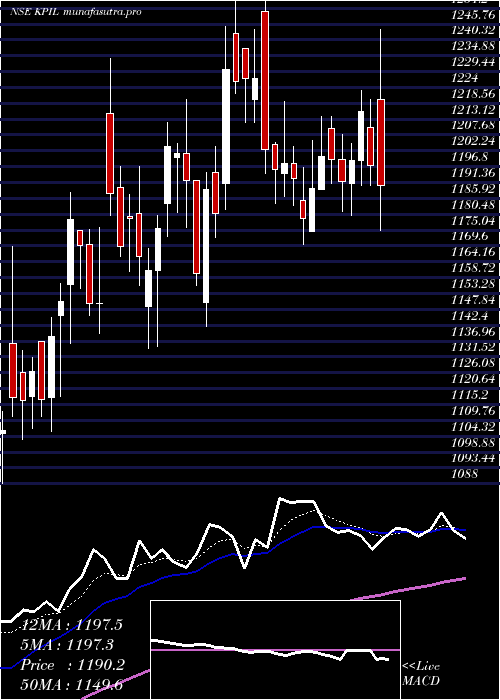 Daily chart KalpataruProject