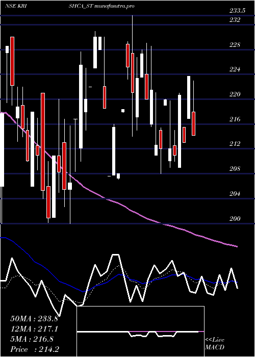 Daily chart KrishcaStrapping