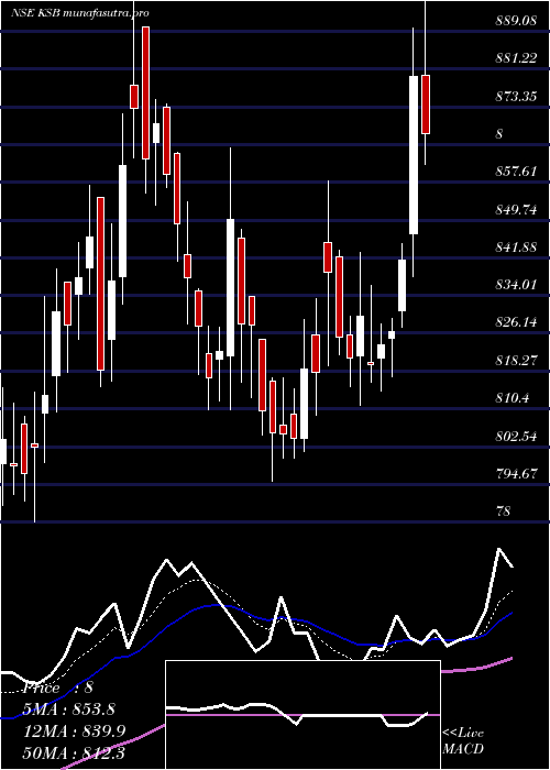 Daily chart Ksb