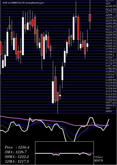 Daily chart LgBalakrishnan