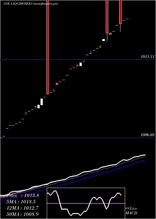 Daily chart NipponamcLiqgrwbees