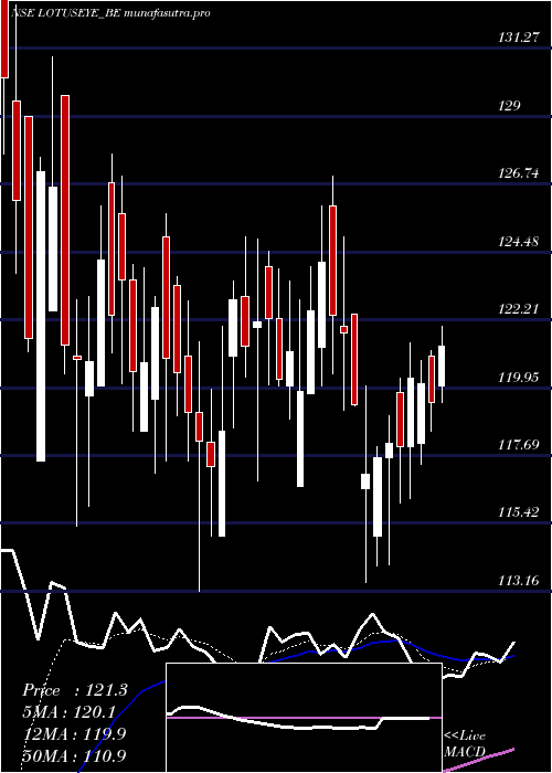 Daily chart LotusEye