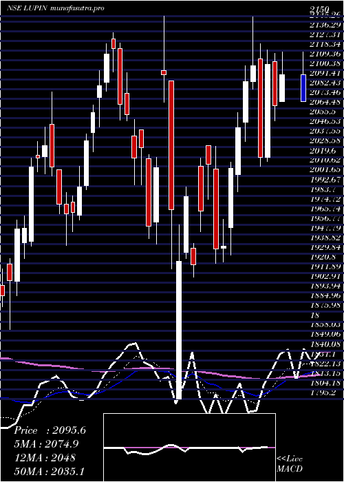  Daily chart Lupin