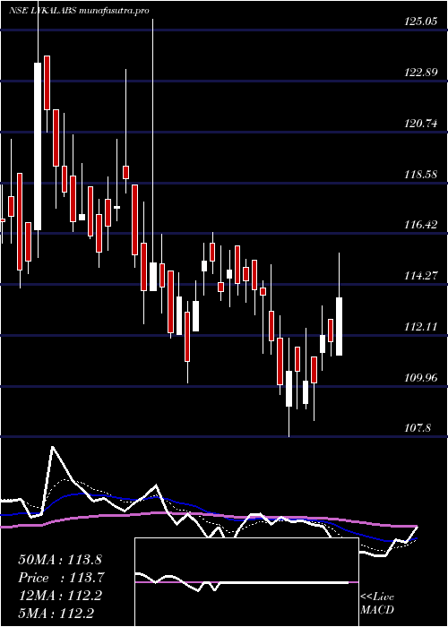 Daily chart LykaLabs