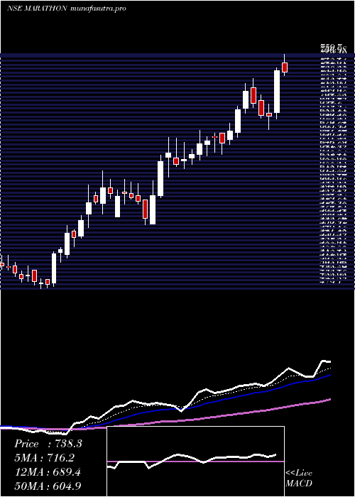 Daily chart MarathonNextgen