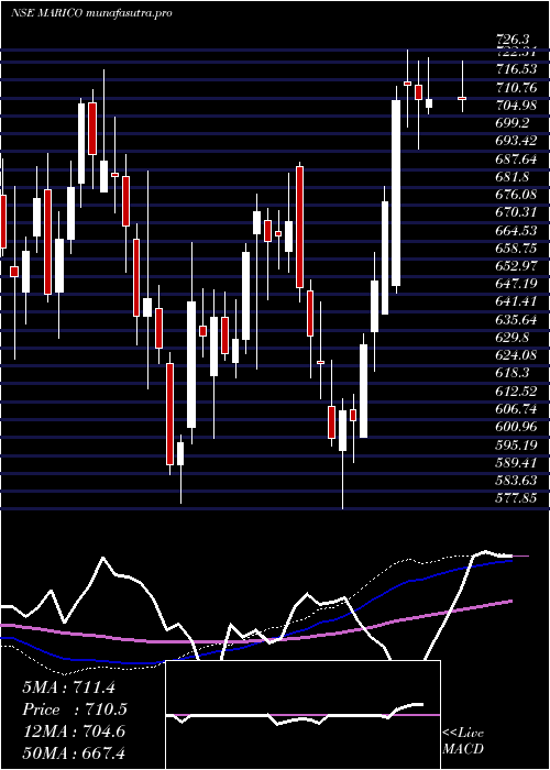  weekly chart Marico