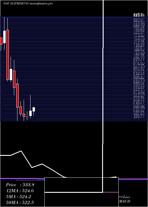 monthly chart MatrimonyCom