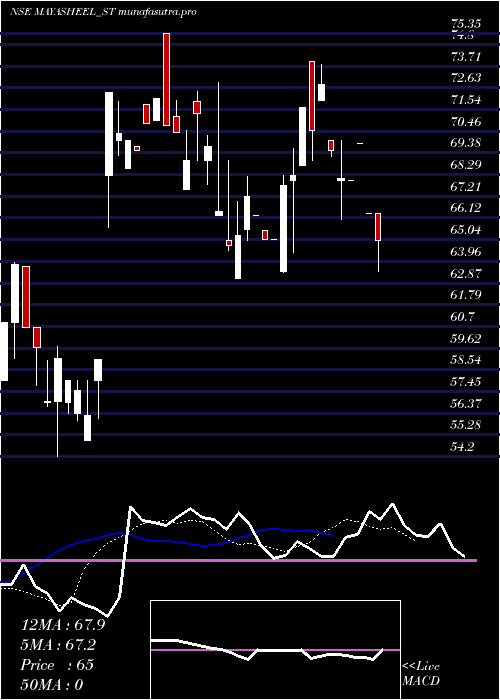 Daily chart MayasheelVentures