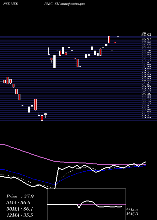 Daily chart MedicamenOrganics