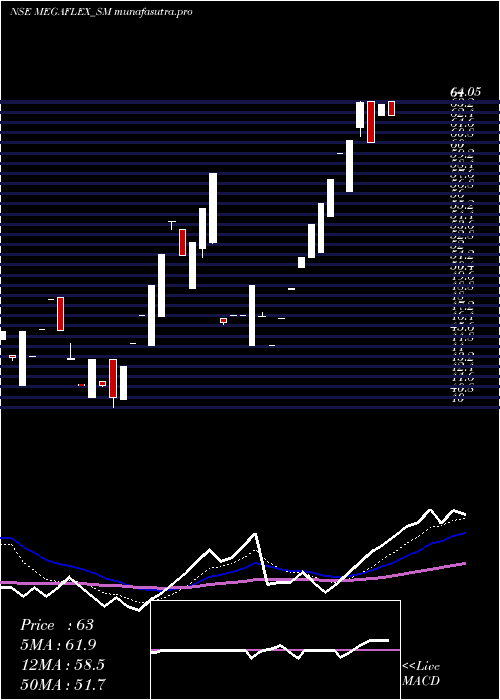 Daily chart MegaFlex