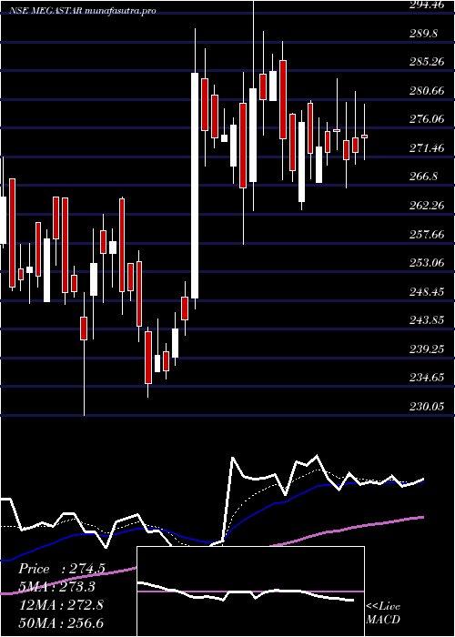 Daily chart MegastarFoods