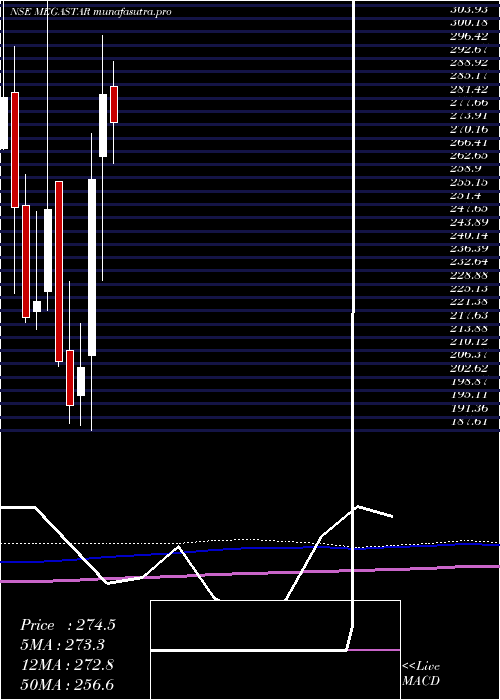 monthly chart MegastarFoods